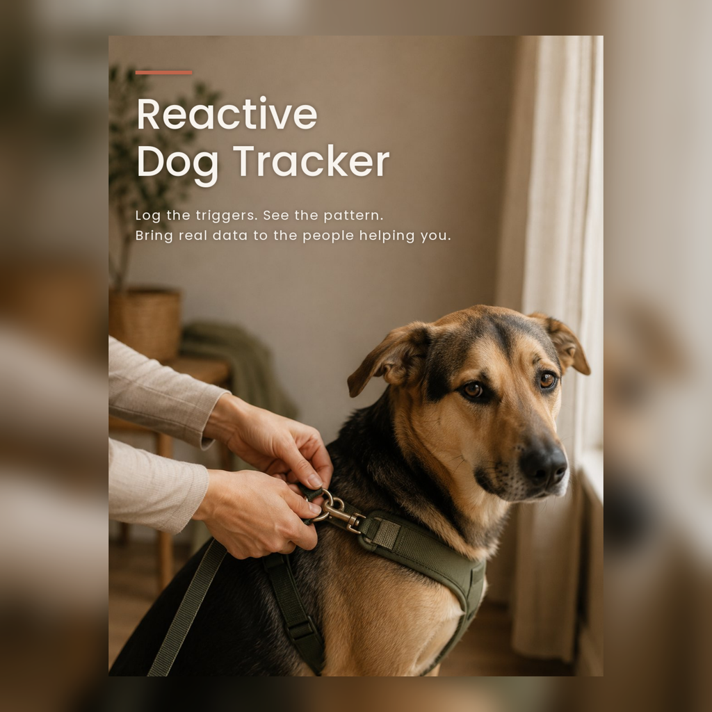 Reactive Dog Tracker