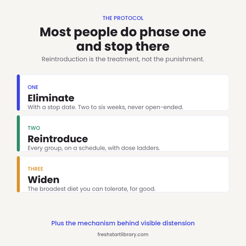 Most people do phase one and stop there. The three-phase protocol: eliminate with a stop date, reintroduce on a schedule, then widen the diet.